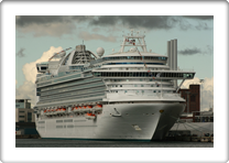EMERALD PRINCESS     9333151 
